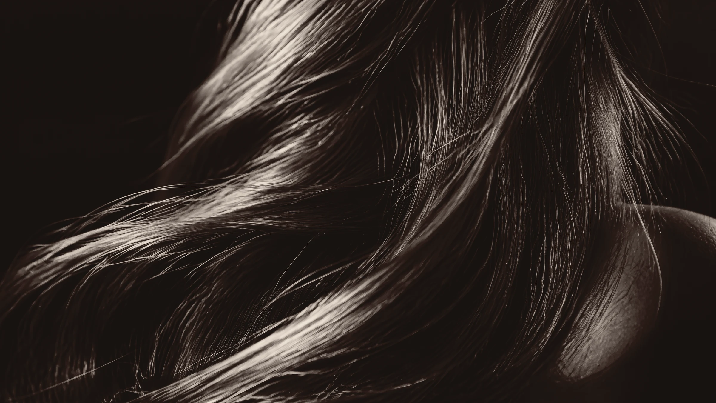 Primer plano de mechones de cabello con luz lateral